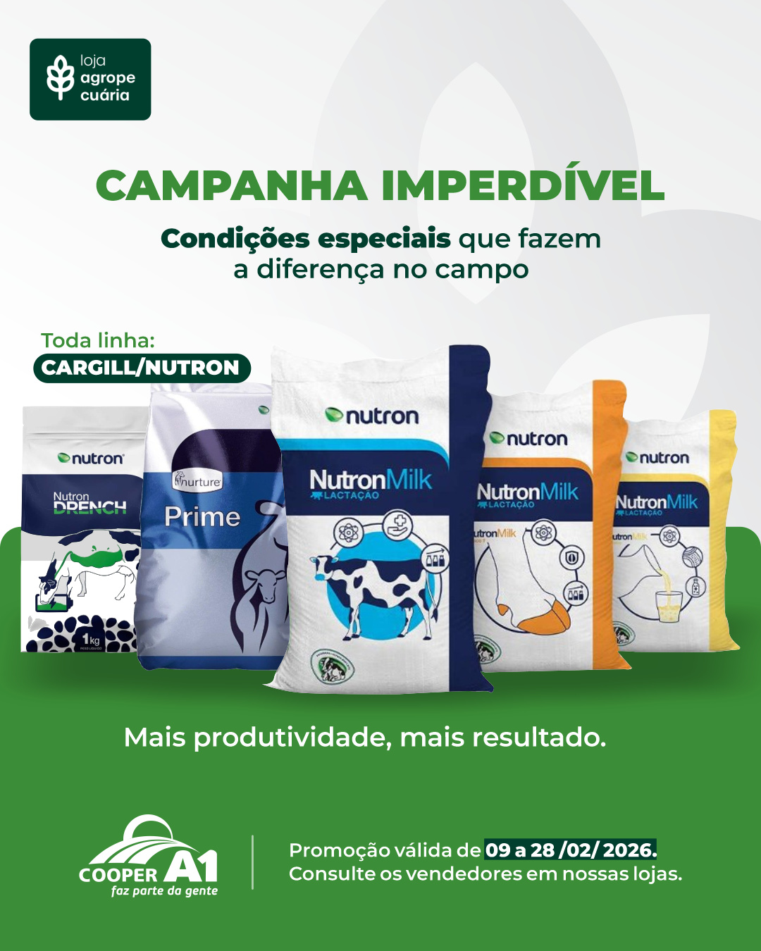 Campanha Imperd&iacute;vel Minerais