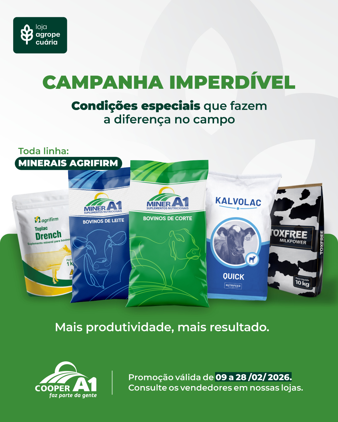 Campanha Imperd&iacute;vel Minerais