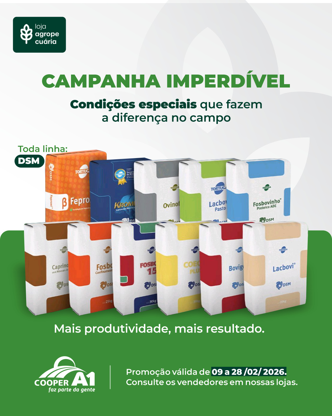Campanha Imperd&iacute;vel Minerais