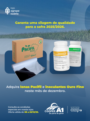 Condi&ccedil;&otilde;es Especiais