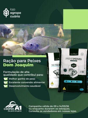 Ra&ccedil;&atilde;o para Peixes Dom Joaquim