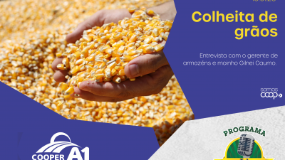 INFORMATIVO A1 10.01.26: Colheita de Gr&atilde;os