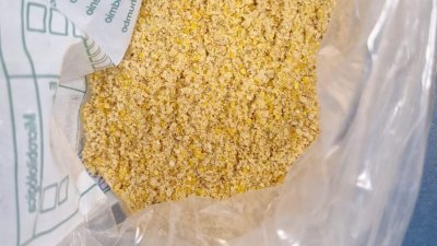 Ra&ccedil;&atilde;o Farelada