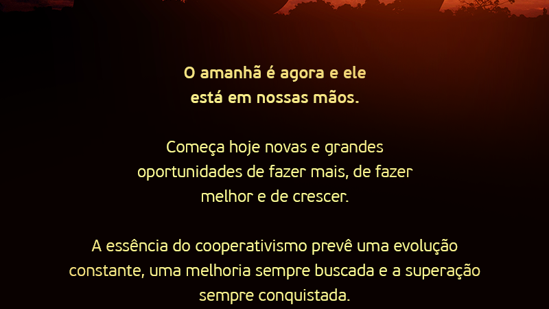Feliz Ano Novo | Construa agora este amanhã que é todo seu
