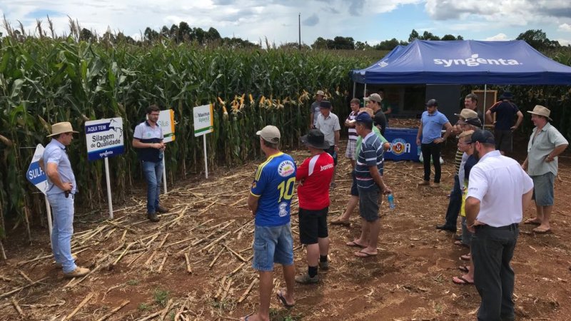  DIAS DE CAMPO: eventos técnicos aconteceram nos municípios de Planalto, RS e Tunápolis, SC