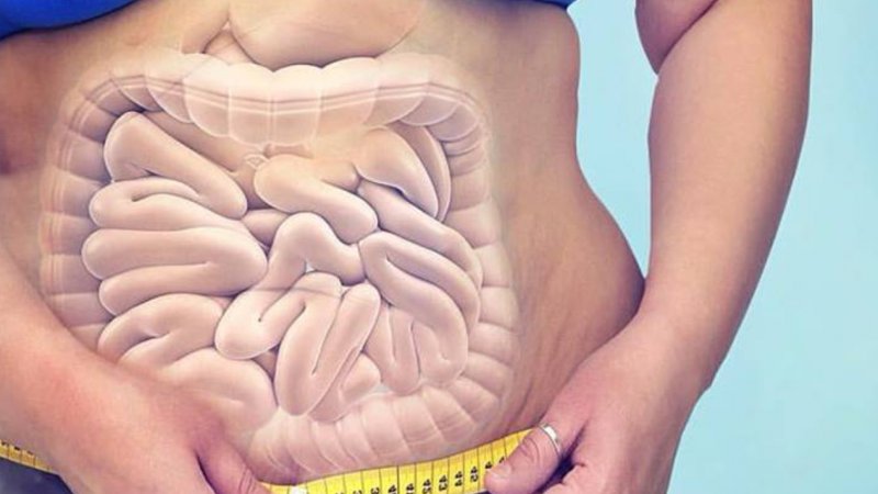PAPO DE NUTRI: Intestino versus obesidade! Você já pensou sobre isso?