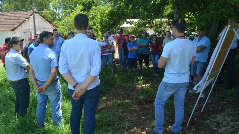 ESTUDOS GARANTEM SAÚDE E PRODUTIVIDADE AS BEZERRAS