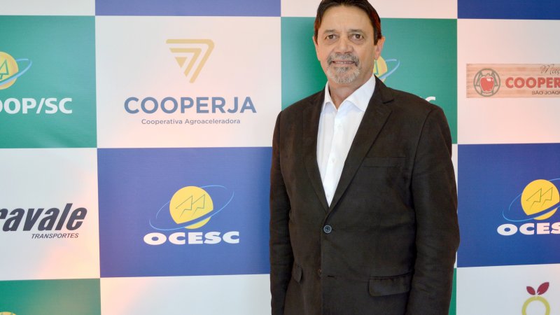 Cooperativismo: 2018 difícil, mas com êxito em alguns ramos