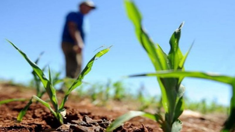 Produtores Rurais ingressam no eSocial em janeiro de 2019