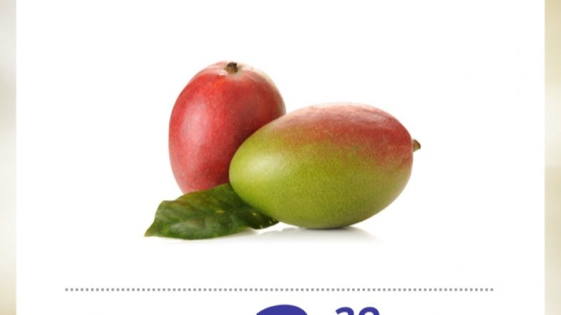 Fim de Semana de Ofertas, comece Fevereiro economizando