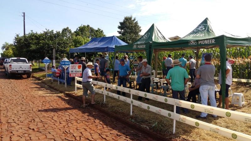CONHECIMENTO NA PRÁTICA: OBJETIVO DOS DIAS DE CAMPO REALIZADOS PELA COOPER A1