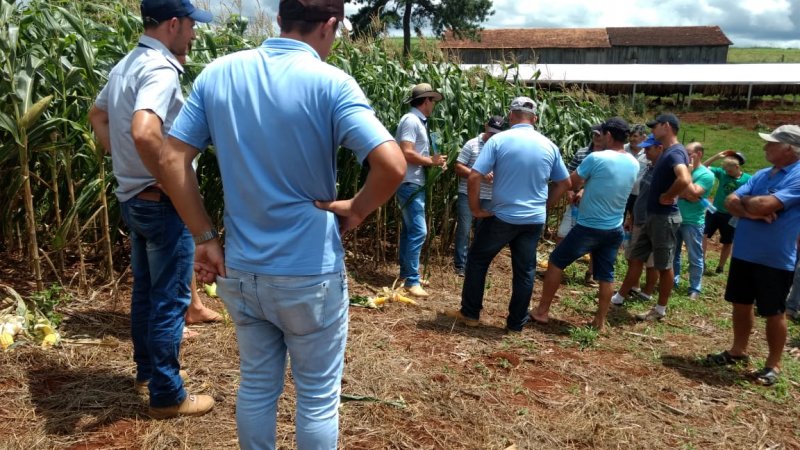 DIAS DE CAMPO: aliados dos produtores rurais para um bom cultivo de sementes