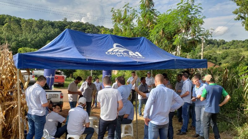 EQUIPE TÉCNICA DE CEREAIS PARTICIPOU DE TREINAMENTO EM PARCERIA COM SYNGENTA E NIDERA SEMENTES