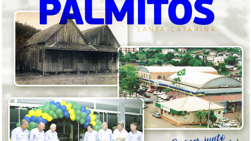 Parabéns Palmitos/SC