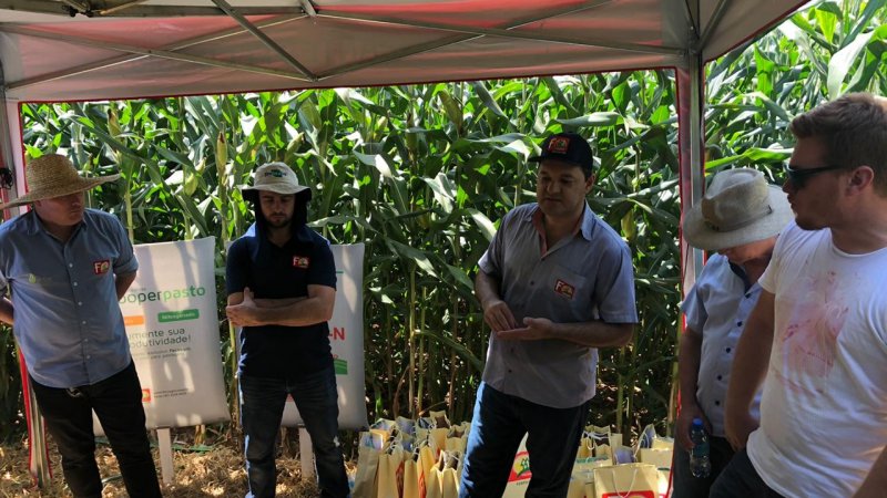 DIA DE CAMPO SOBRE MILHO: equipe técnica reunida em Palmitos