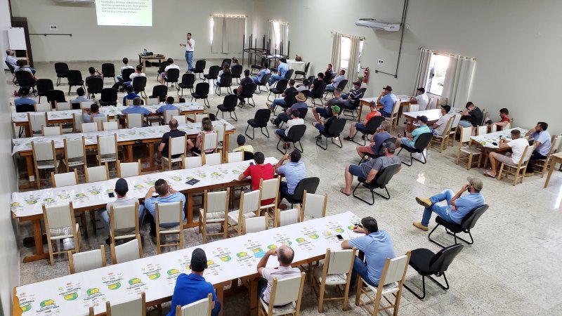 BOVINOCULTURA: Cooper A1 promove estudo sobre sistemas de resfriamento de vacas