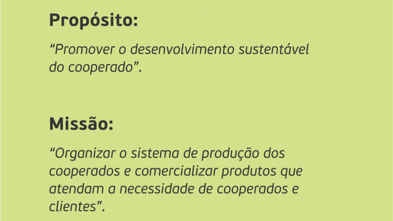 UM NOVO PROPÓSITO: quem somos, por que existimos e aonde queremos chegar