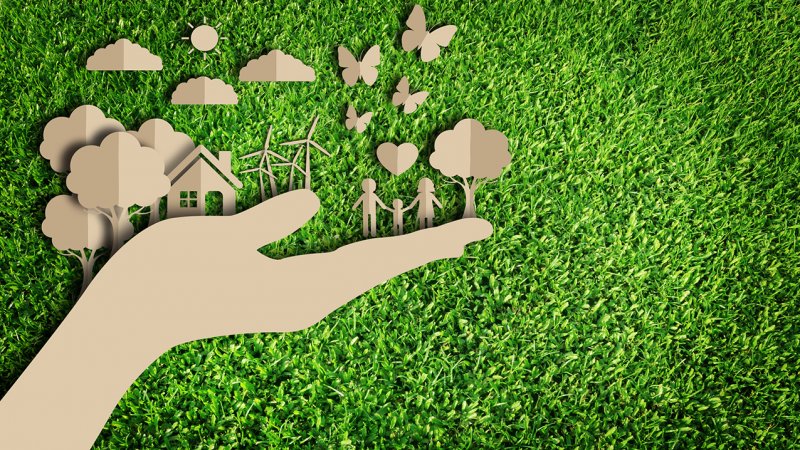DIA MUNDIAL DO MEIO AMBIENTE: Ações de sustentabilidade alinhadas aos valores do cooperativismo