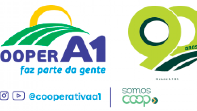 assinatura e-mail