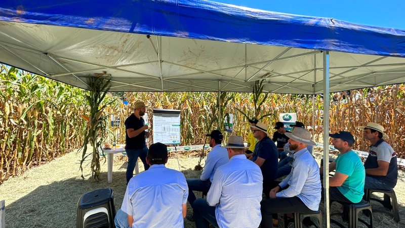 DIAS DE CAMPO: Demonstrações ‘in loco’ e apresentação de tecnologias