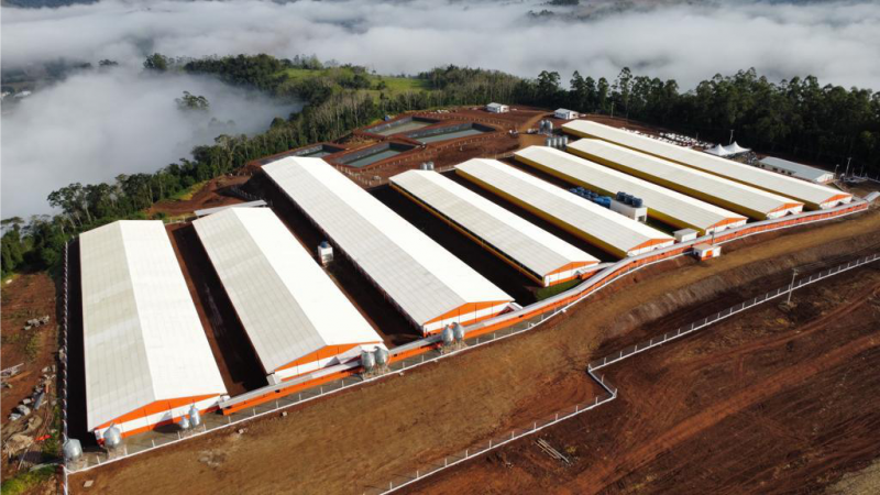 GRANJA RIQUEZA: Empreendimento inaugurado para garantir o futuro da suinocultura na Cooper A1