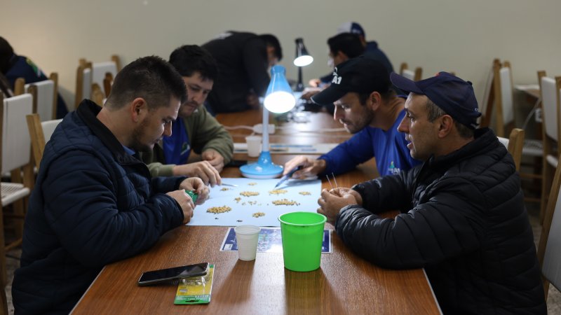 CAPACITAÇÃO: Treinamento sobre classificação e armazenagem de grãos