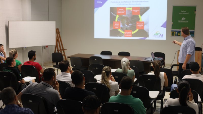 TREINAMENTO: Suinocultores adquirem conhecimento sobre mortalidade de fêmeas
