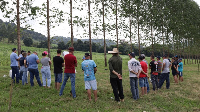 CONHECIMENTO: Tarde de Campo em Palmitos
