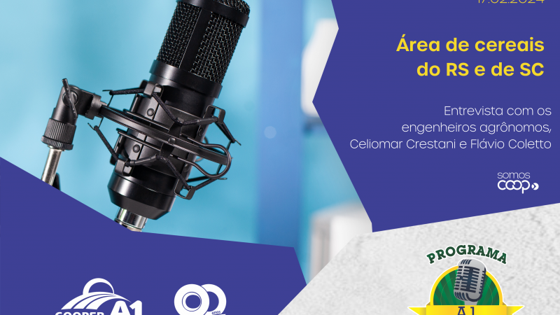INFORMATIVO A1 17.02.2024: Área de cereais do RS e de SC