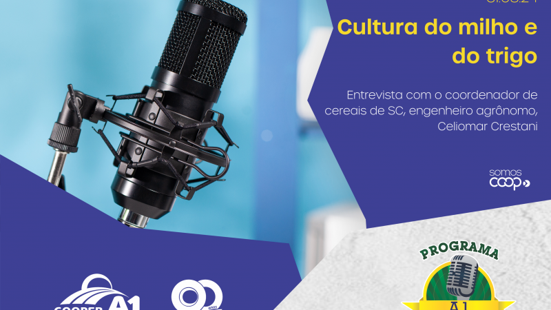 INFORMATIVO A1 31.08.24: Cultura do milho e do trigo 