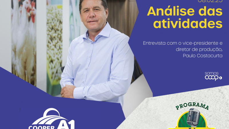 INFORMATIVO A1 08.02.25: Análise das atividades