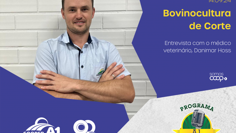 INFORMATIVO A1 14.09.24: Bovinocultura de corte 