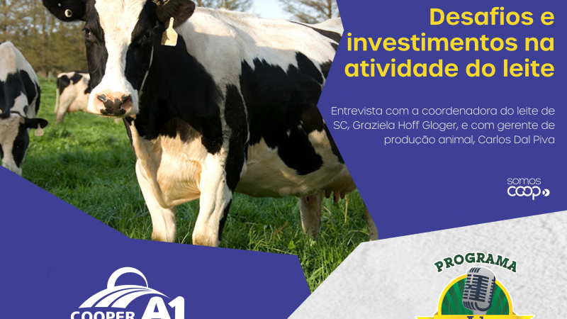 INFORMATIVO A1 30.11.24: 1º Seminário da Bovinocultura de leite 