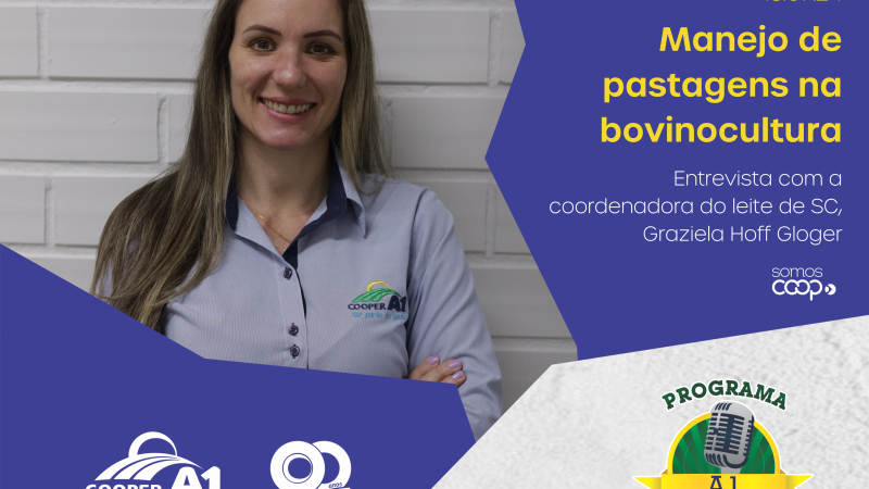 INFORMATIVO A1 13.07.24: Manejo de pastagens na bovinocultura 