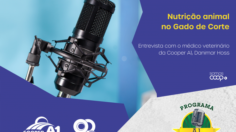 INFORMATIVO A1 13.04.24: Nutrição animal no Gado de Corte