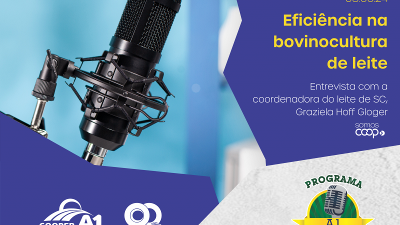 INFORMATIVO A1 08.06.24: Eficiência na bovinocultura de leite 