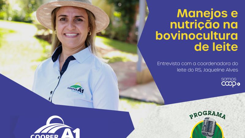 INFORMATIVO A1 14.06.25: Manejos e nutrição na bovinocultura de leite