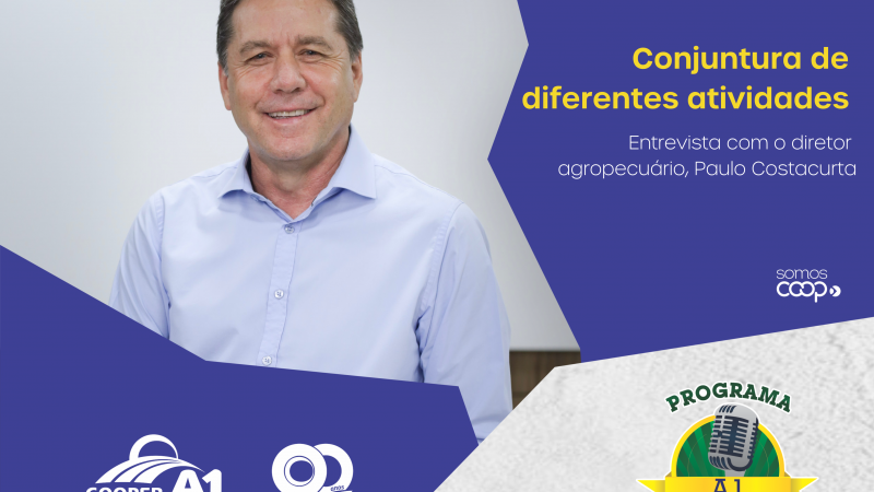 INFORMATIVO A1 13.01.24: Conjuntura de diferentes atividades 