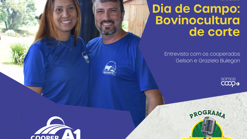 INFORMATIVO A1 15.02.25: Dia de Campo da bovinocultura de corte 
