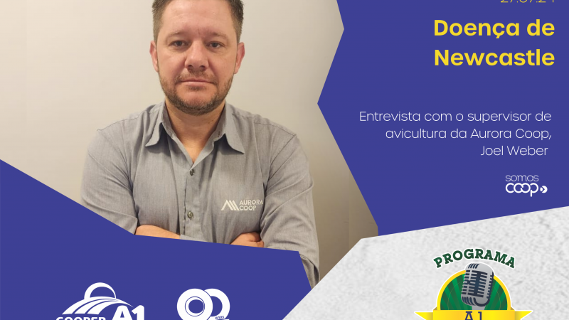 INFORMATIVO A1 27.07.24: Casos da doença de Newcastle
