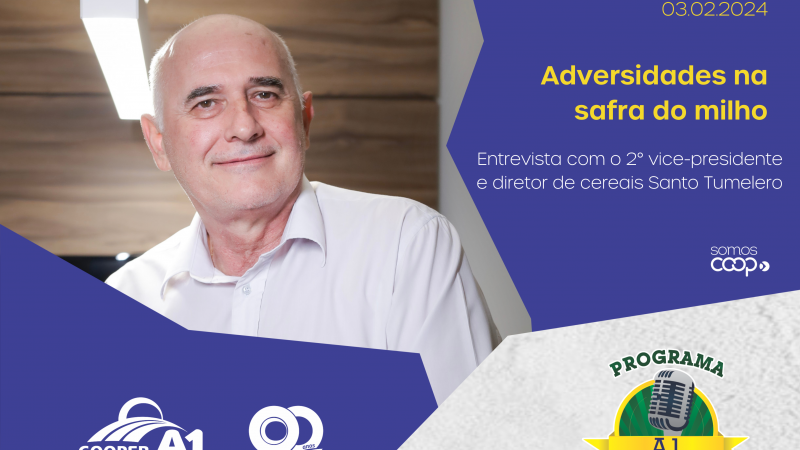 INFORMATIVO A1 03.02.24: Adversidades na safra do milho 