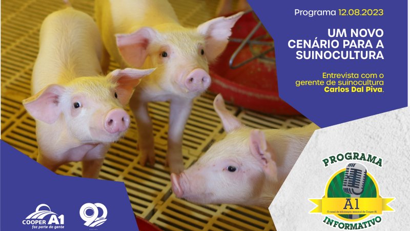 INFORMATIVO A1 12.08.23: UM NOVO CENÁRIO PARA A SUINOCULTURA 