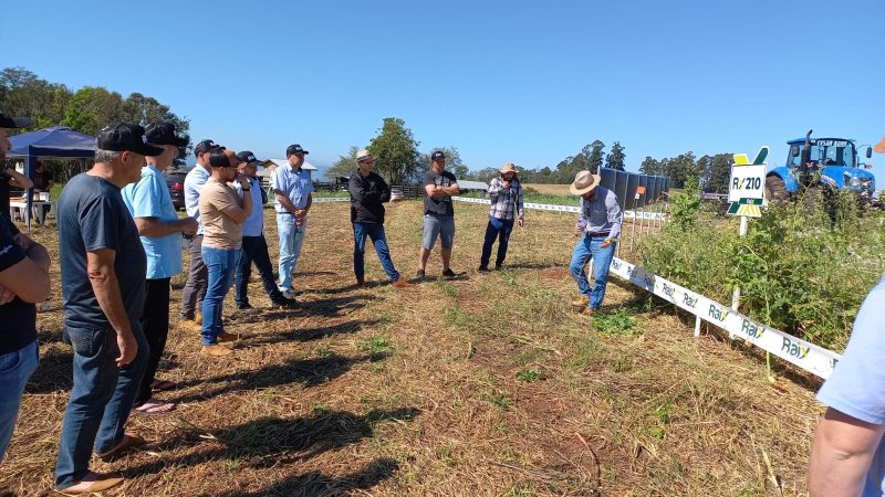 CONHECIMENTO: Dia de campo proporciona um encontro entre técnicos 