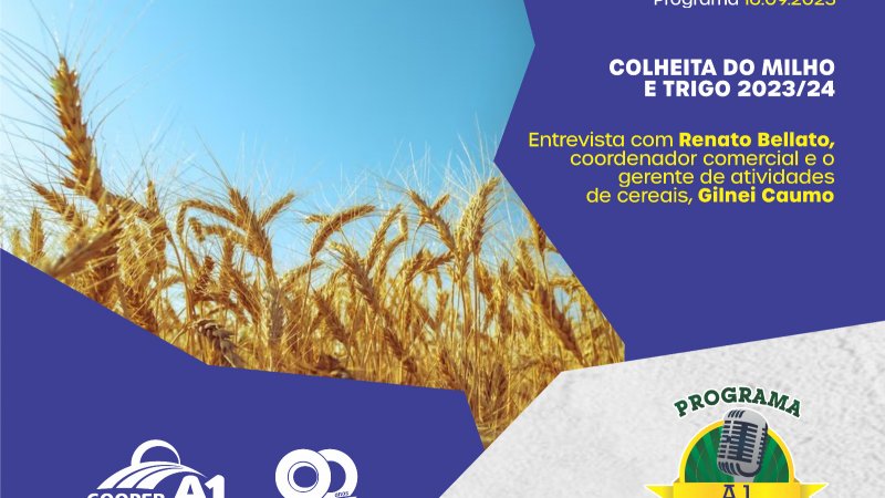 INFORMATIVO A1 16.09.23: Colheita do milho e trigo 2023/24