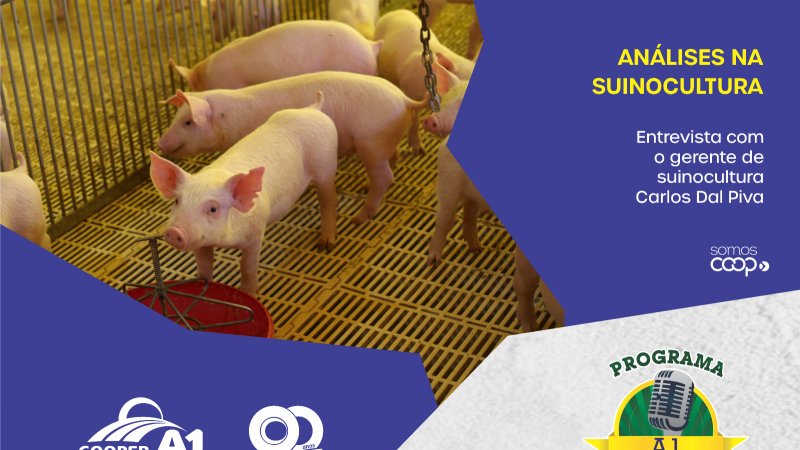 INFORMATIVO A1 14.10.23: Análises na suinocultura