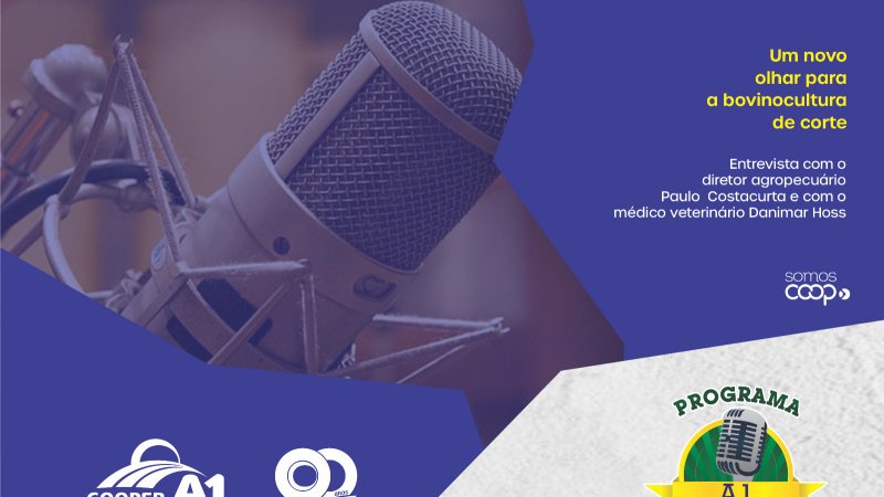 INFORMATIVO A1 28.10.23: Um novo olhar para a bovinocultura de corte 