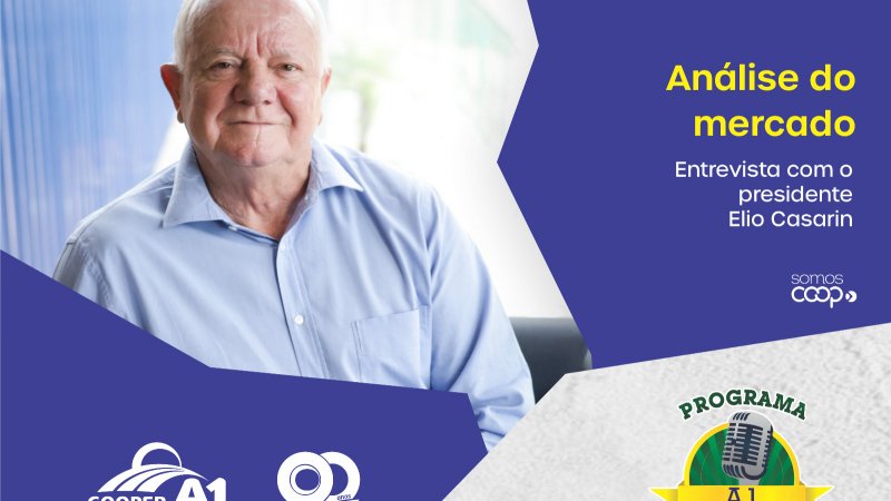 INFORMATIVO A1 25.11.23: Análise do mercado 