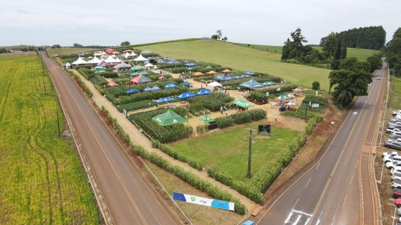 CAMPO TECNOLÓGICO: 2ª edição do evento reúne cooperados de diversas regiões