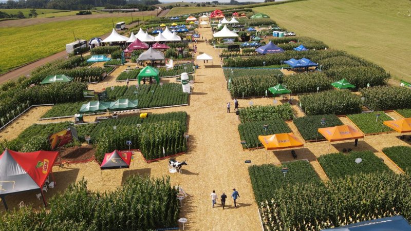CAMPO TECNOLÓGICO: Um local de conhecimento na prática