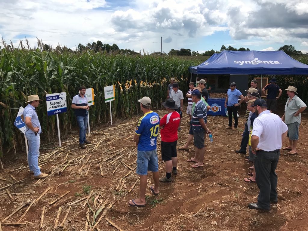  DIAS DE CAMPO: eventos técnicos aconteceram nos municípios de Planalto, RS e Tunápolis, SC